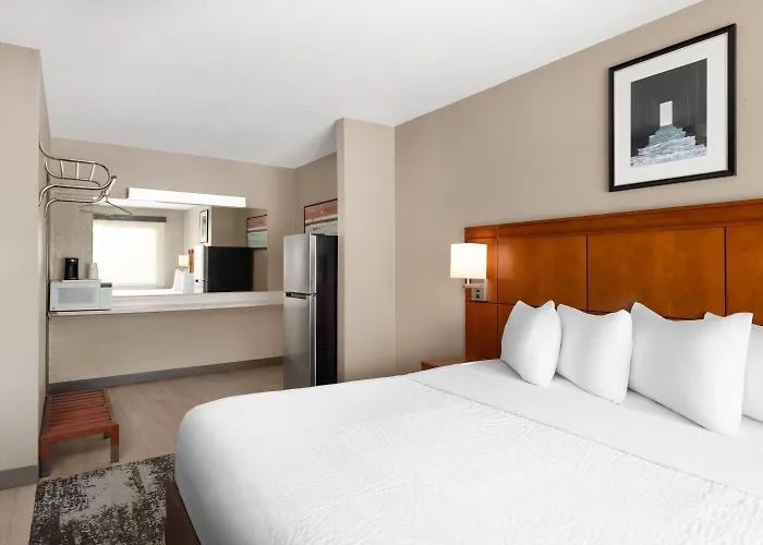 Hotel Stardust 3*
