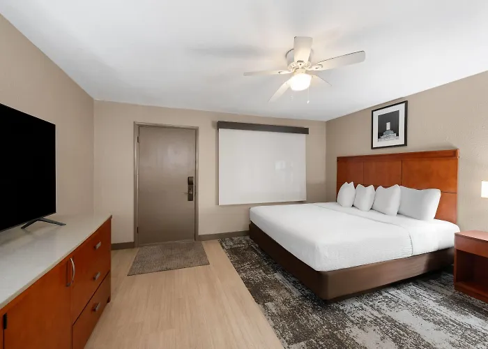 Stardust Hotel